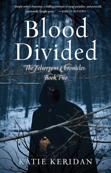 The cover of Blood Divided, by Katie Keridan