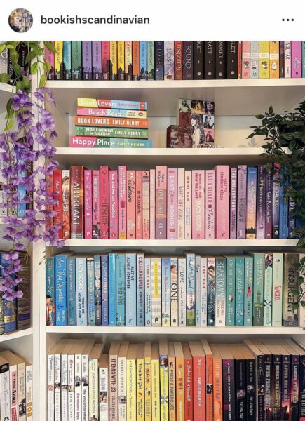 An image of rainbow book shelves