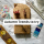 5 Cosy Autumn Trends for Book Influencers to Level Up Your Social Media